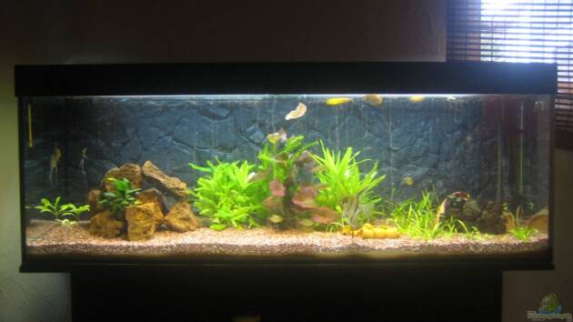 Zum Beispiel Becken 6312