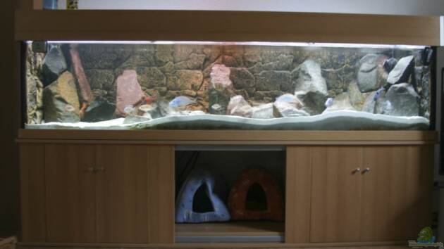 Zum Beispiel Becken 7121