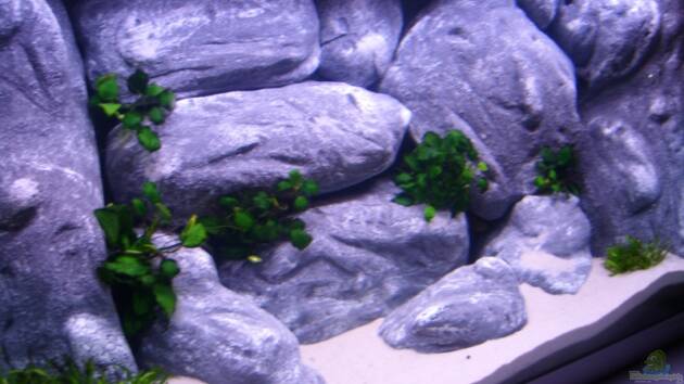 Zum Beispiel Becken 8045