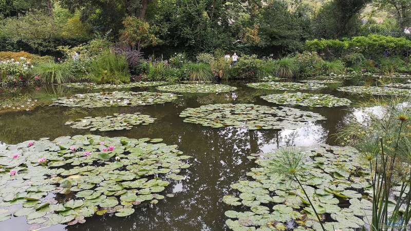 Entdecke die Schönheit von Monets Garten: Ein Paradies der Impressionisten