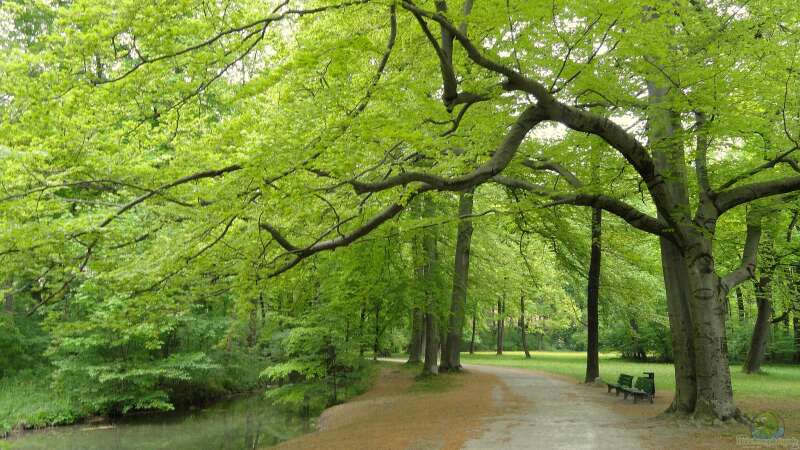 Ist der Englische Garten in München eine Reise wert?