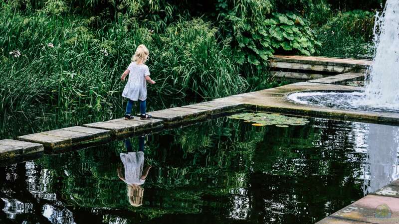 Inspirationen aus Fernost: Einen ostasiatischen Garten gestalten