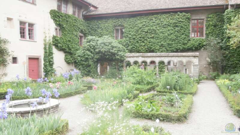 Heilkräuter im eigenen Garten: Was ist zu beachten?