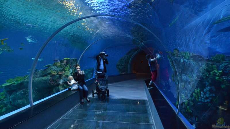 Urlaubstipp: Aquarium Blue Planet in Kopenhagen