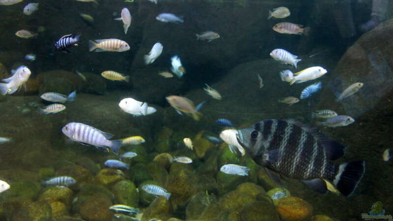 Urlaubstipp: Aquarium Blue Planet in Kopenhagen