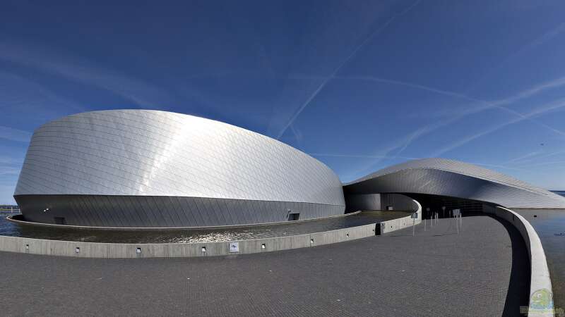 Urlaubstipp: Aquarium Blue Planet in Kopenhagen