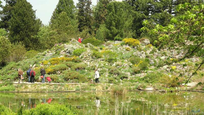 Ausflugstipp: Der Botanische Garten München-Nymphenburg