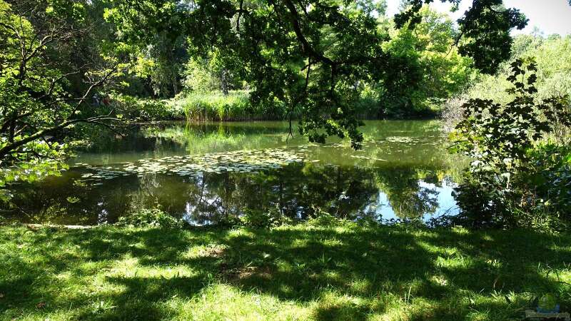 Ausflugstipp: Der Botanische Garten München-Nymphenburg