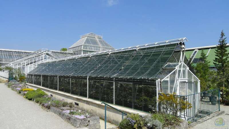 Ausflugstipp: Der Botanische Garten München-Nymphenburg