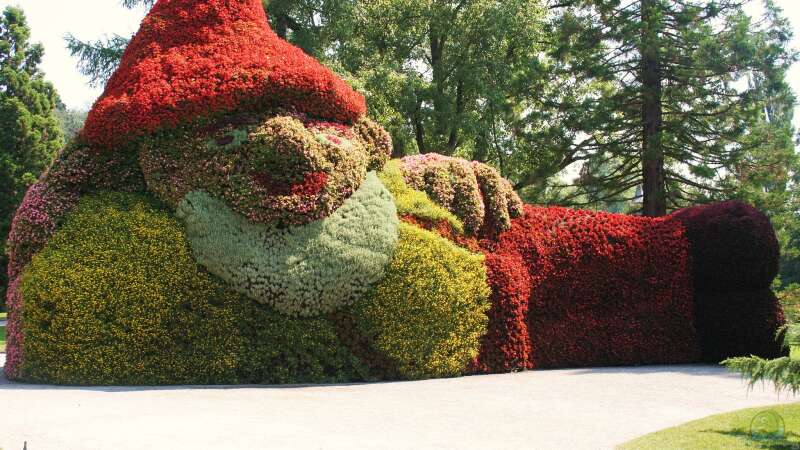 Die Insel Mainau: Ein Muss für Gartenliebhaber