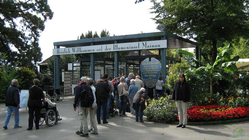 Die Insel Mainau: Ein Muss für Gartenliebhaber