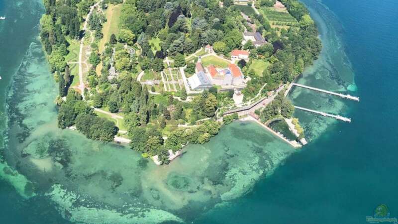 Die Insel Mainau: Ein Muss für Gartenliebhaber