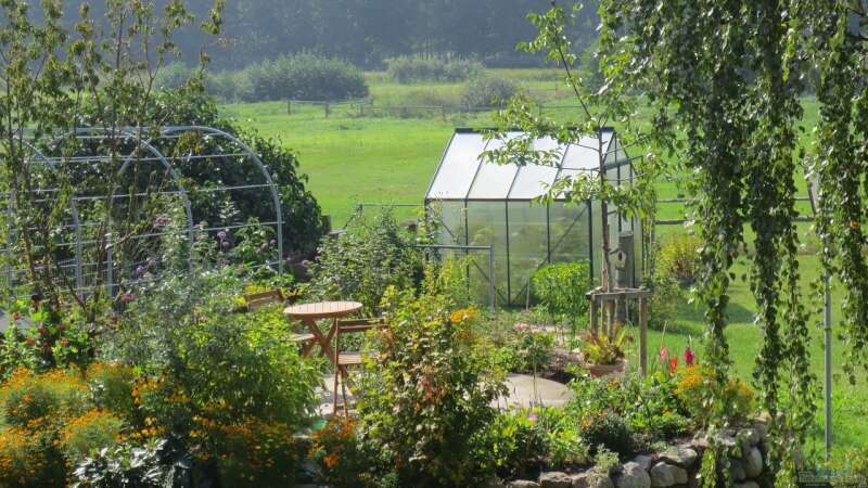 Schrebergarten: Das sind die No-Gos