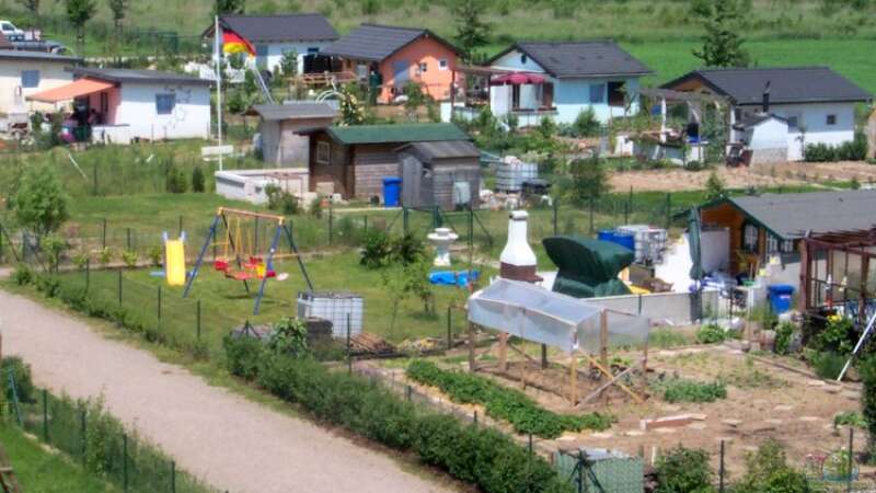 Schrebergarten: Das sind die No-Gos