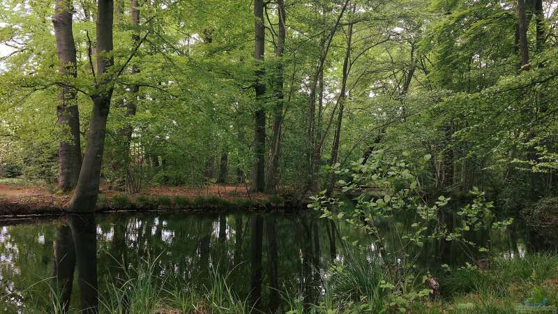 Kein wildes Durcheinander: Struktur für deinen Naturgarten