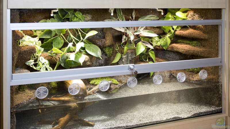 Das passende Becken für ein Paludarium