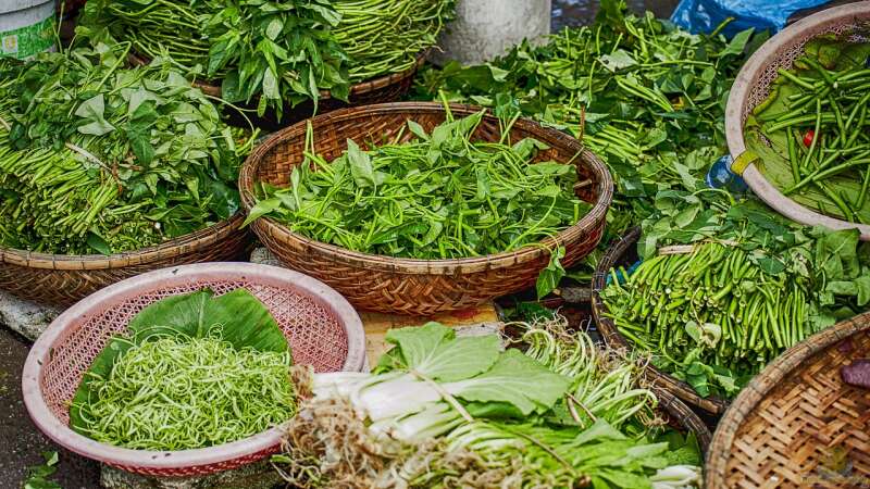 Jetzt noch ernten: Mit Heilkräutern gesund durch den Winter