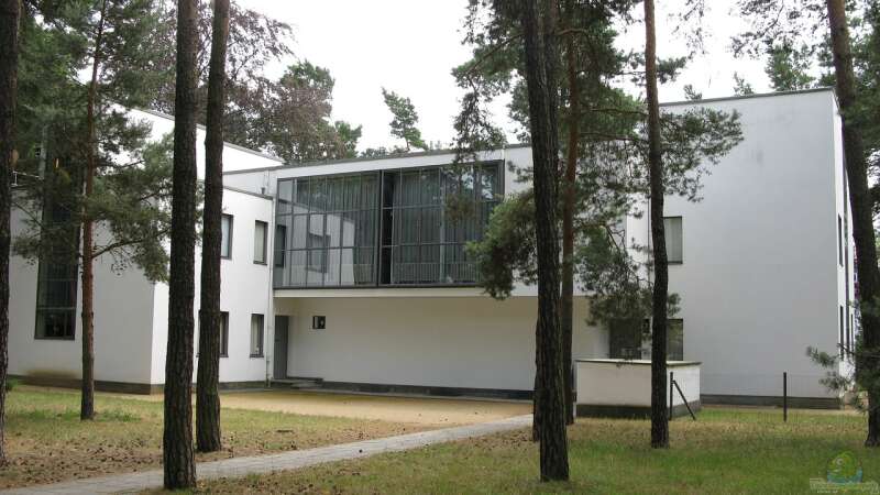 Bauhaus im Garten: Nicht nur Stil für das Wohnhaus