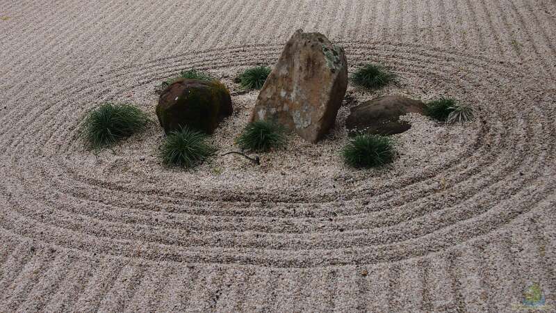 Der Japandi-Stil im Garten perfekt umgesetzt: So gelingt das Zusammenspiel von Japan und Skandinavien