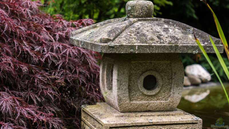 Der Japandi-Stil im Garten perfekt umgesetzt: So gelingt das Zusammenspiel von Japan und Skandinavien