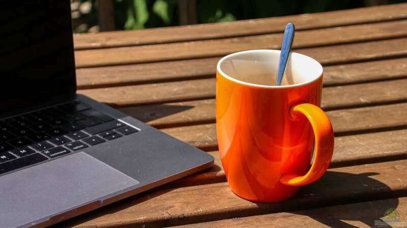 Homeoffice auf Terrasse oder im Garten