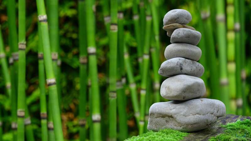 So wird der Garten zur Wellness-Oase