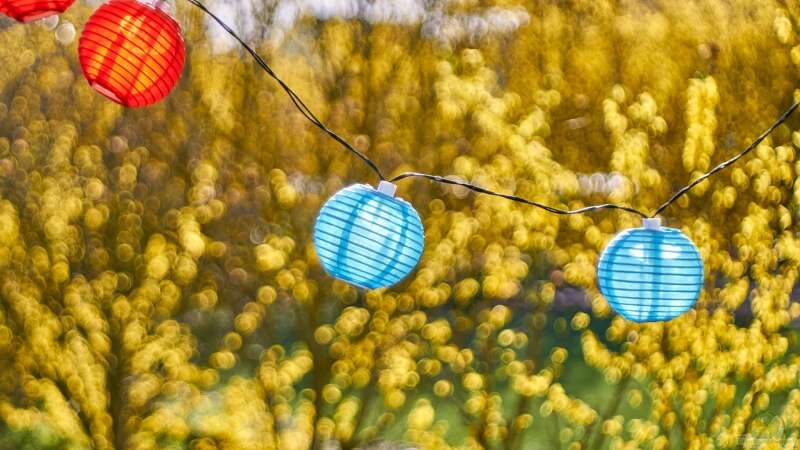 Weihnachtsdekoration im Garten: Stimmungsvoll oder Lichtverschmutzung