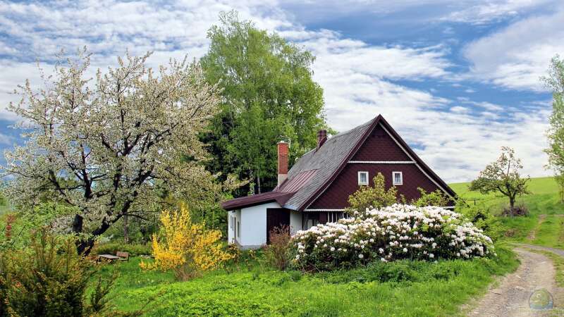 Garten gestalten mit kleinem Budget