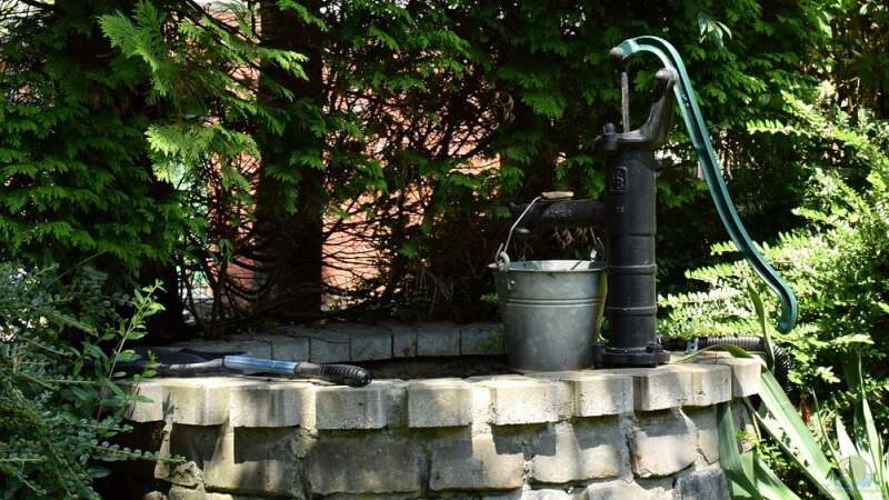 Einen Brunnen im Garten selber bohren: So gelingt der Zugang zum eigenen Wasser