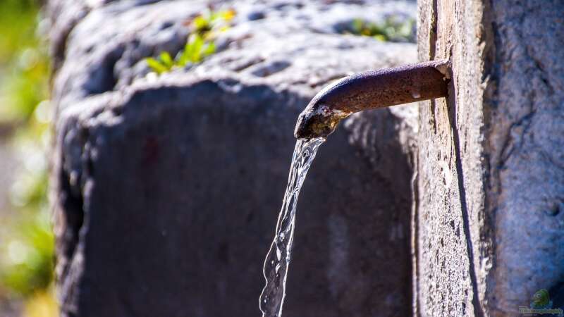 Einen Brunnen im Garten selber bohren: So gelingt der Zugang zum eigenen Wasser