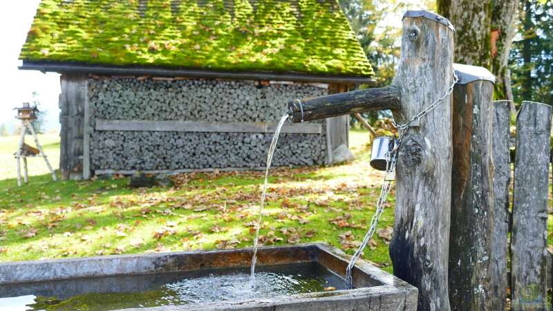 Einen Brunnen im Garten selber bohren: So gelingt der Zugang zum eigenen Wasser