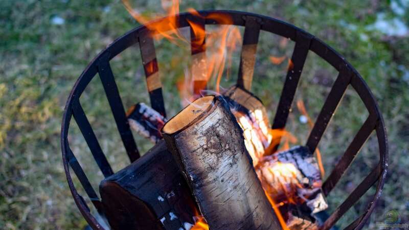 Feuerkörbe und Feuerschalen: Was es zu beachten gilt