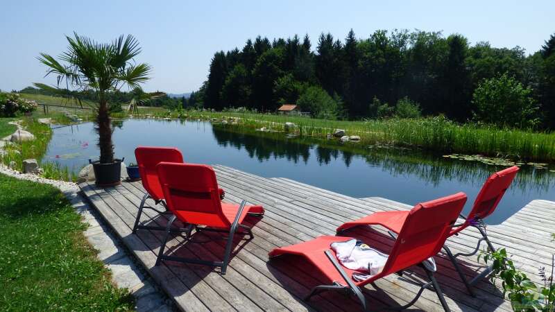 Planungsüberlegungen: Kann ein Teich zu tief sein?