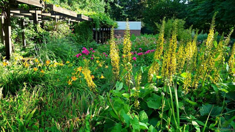 Pergola: Wohnraum im Garten