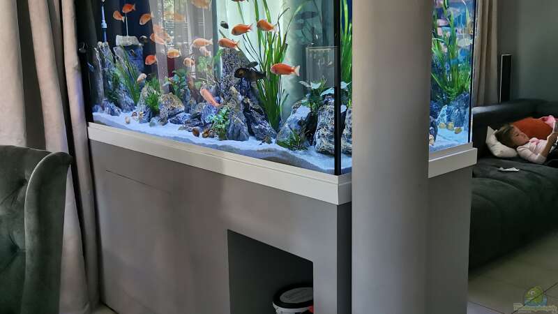 Aquarium nach Maß: Welche Größen und Formen sind möglich?