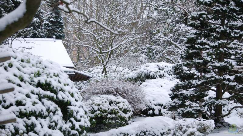 Frostsprengung im Boden – Was im Winter unter der Erde passiert