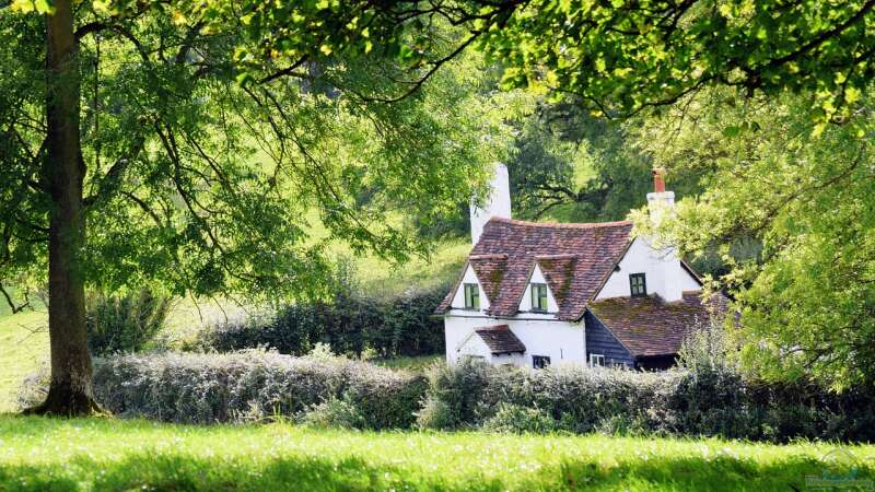 Ein ländliches Garten-Idyll: Gestaltung nach Vorbild englischer Cottage-Gärten