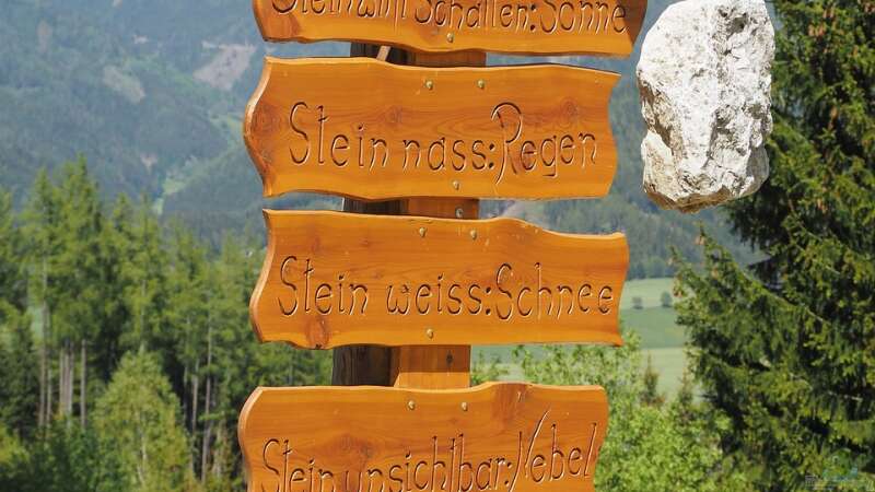 Bauernregeln: Traditionelle Wettervorhersagen