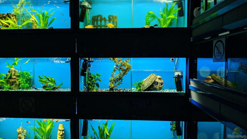 3 Tipps wie du den Stromverbrauch deines Aquariums senken kannst