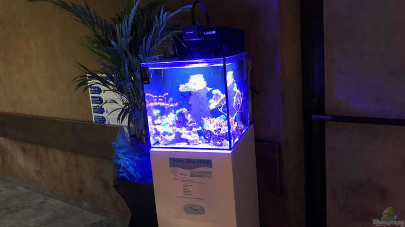 Aqua-Day 2018 der Aquarienfreunde Tirol