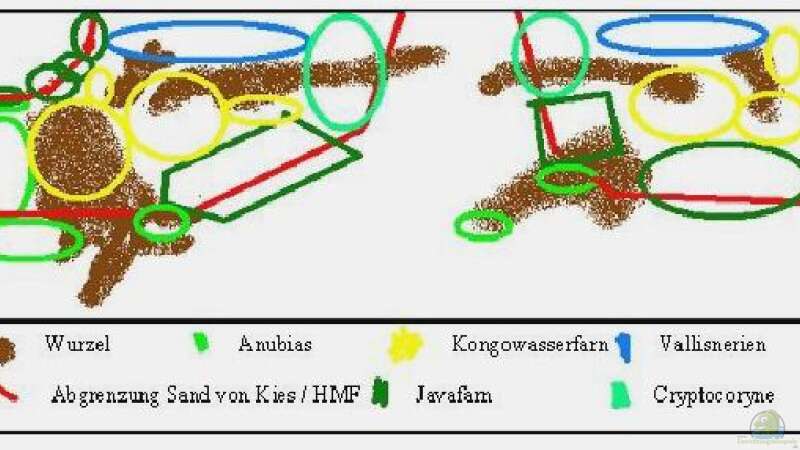 Bepflanzungsplan von Dominik (2)