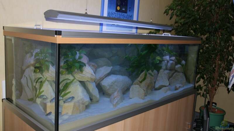 Aquarium nach Fertigstellung von Holger74 (3)