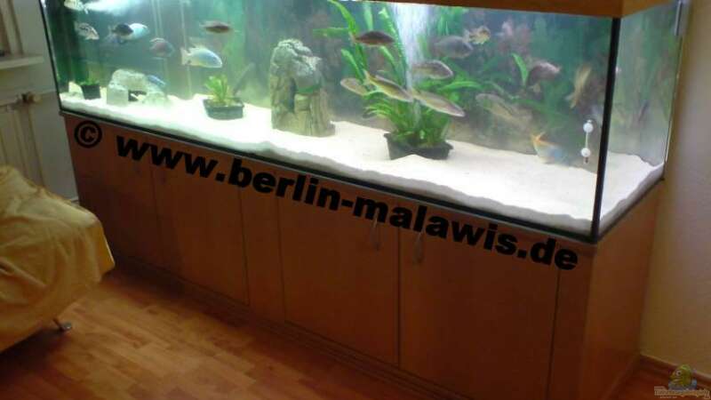 250 x 60 x 60 - 900 L Becken von *www.berlin-malawis.de* (1)