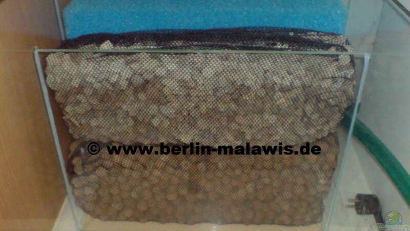 EB Kammer 3 mit 2 x 6 L Filtermaterial von *www.berlin-malawis.de* (9)