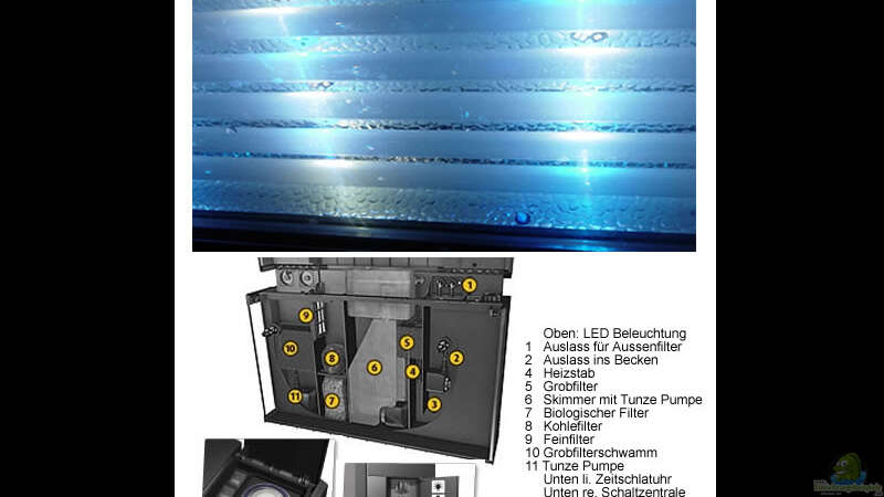 Filter Rückwand, Skimmer, Zeitschaltuhr und Schalter von The_Lizardking (29)