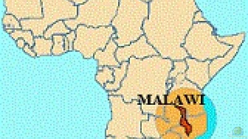 Malawi... Land, Leute, See...