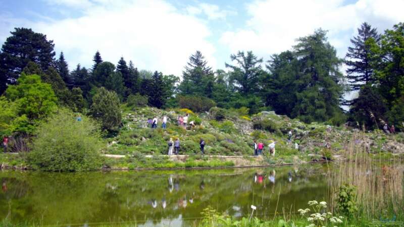 Botanischer Garten München -Aus Sicht einer Aquarianerin! Teil I