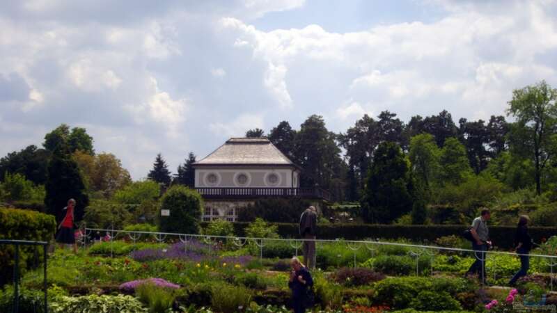 Botanischer Garten München -Aus Sicht einer Aquarianerin! Teil I