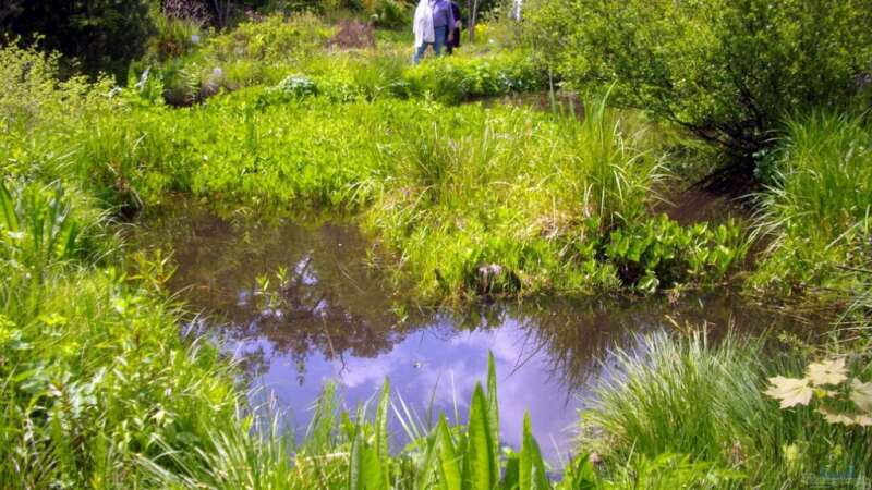 Botanischer Garten München -Aus Sicht einer Aquarianerin! Teil I