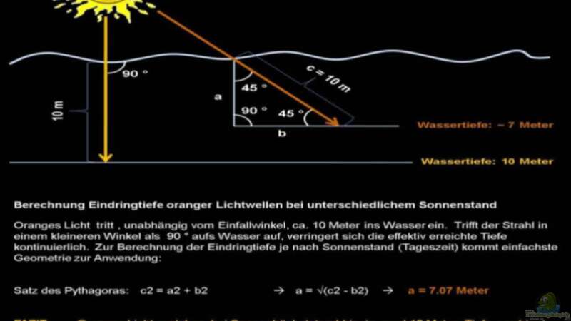 Lichtverhältnisse im Wasser / Malawisee